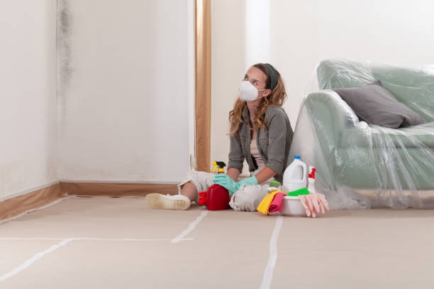 Reliable Black Mold Removal contractor in Central City, PA by WQB Mold Removal